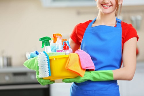 Professional curtain cleaning service for a Paddington home interior