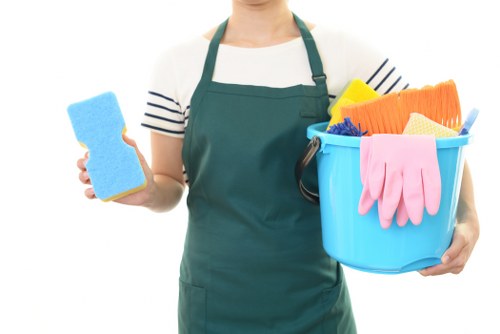 Professional sofa cleaning service in a Paddington living room