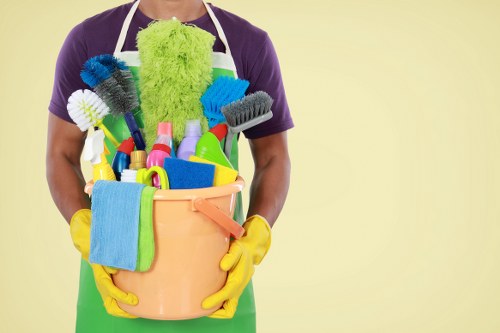 Carpet and rug odour treatment process for pet accidents in Paddington