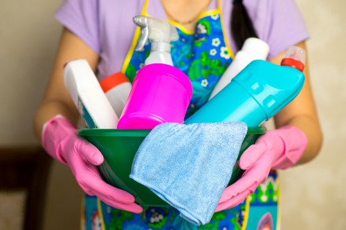 Domestic cleaning tasks including kitchen and bathroom upkeep in Paddington