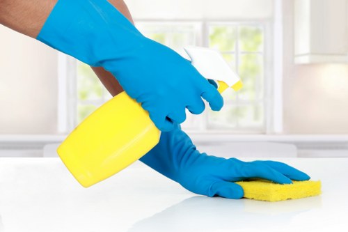 Professional cleaners in Paddington providing a thorough home cleaning service