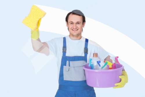 Regular domestic cleaning support for families and tenants in Paddington