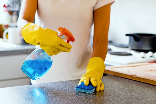Commercial gutter cleaning service for Paddington premises