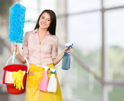 Professional upholstery cleaning for a sofa in a Paddington home