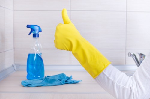 Professional mattress cleaning service in Paddington for homes and apartments