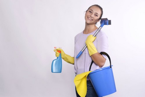 Paddington cleaning experts handling detailed kitchen and bathroom cleaning