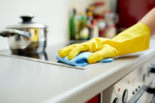 Paddington cleaning services focused on detail, hygiene, and property care