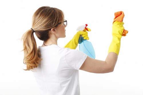 Professional window cleaner working on a Paddington property