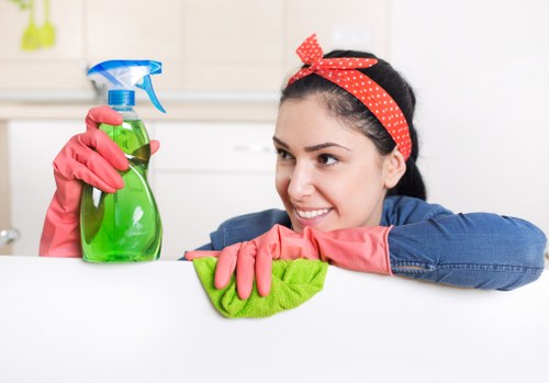 Experienced Paddington cleaners improving presentation and cleanliness