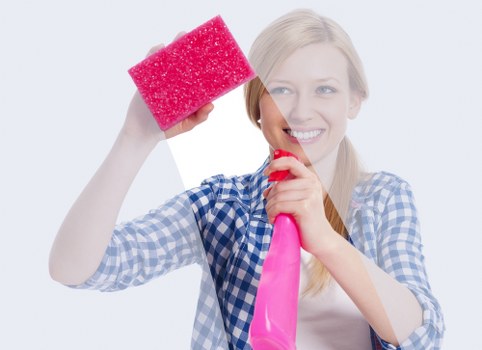 Thorough kitchen and bathroom cleaning in Paddington during a single visit