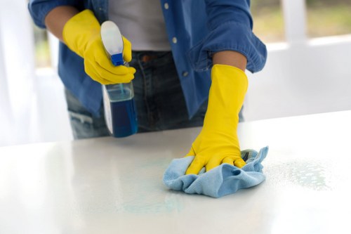 Local upholstery cleaning service working on fabric chairs in Paddington