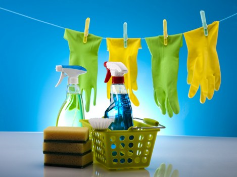 Ongoing cleaning for Paddington homes and offices