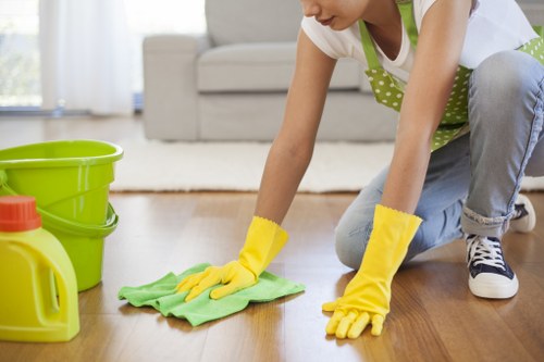 Local oven cleaning technician working in a Paddington apartment kitchen