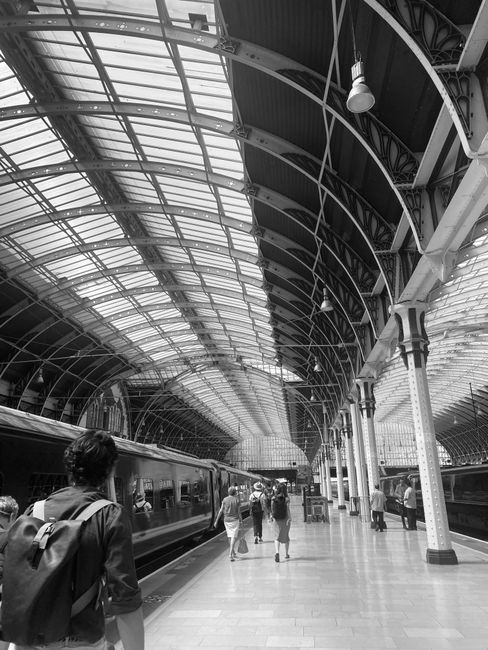A black-and-white photograph of a residential corridor viewed from a low angle, showing a carpeted floor with a textured surface. The corridor features white wooden doors on either side, with decorati