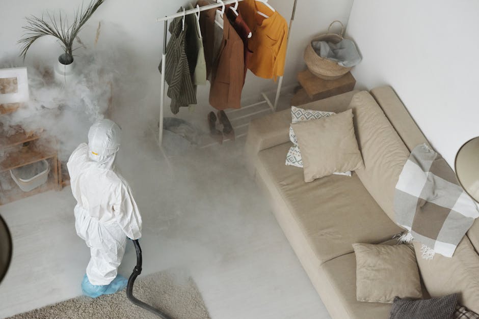 https://cleaners-paddington.org/blog/removing-sofa-mould-in-paddington-fast-solutions/